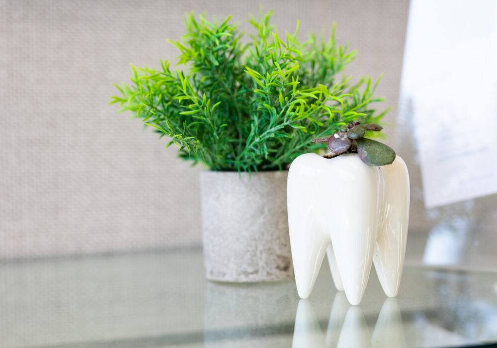 dental services you need