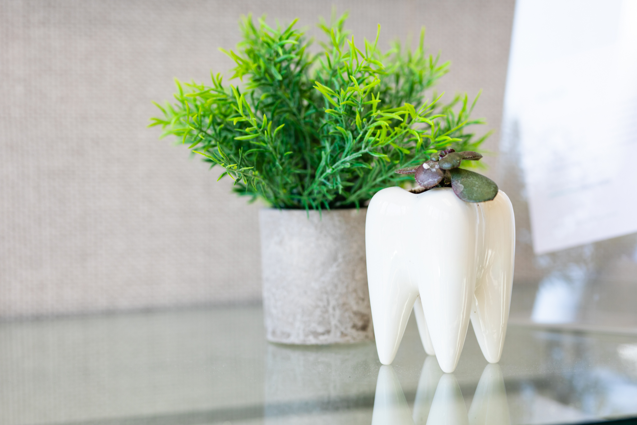 dental services you need